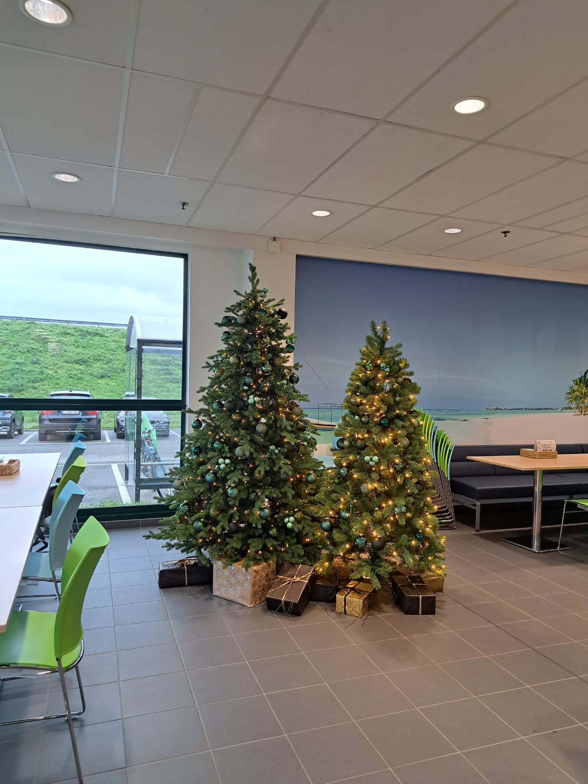Office lobby with two decorated Christmas trees beside large windows and tables