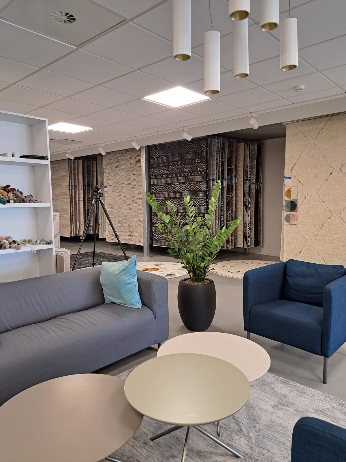 Salon moderne avec canapés gris et bleus, tables rondes et grande plante dans un hall d'immeuble de bureaux lumineux