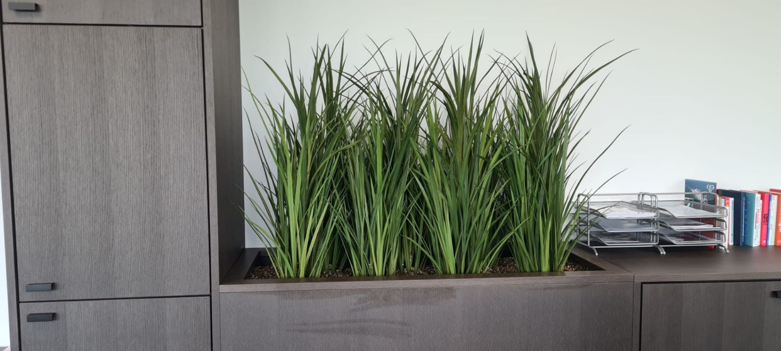 Armoire de bureau avec une grande plante verte en pot et une pile de papiers dessus