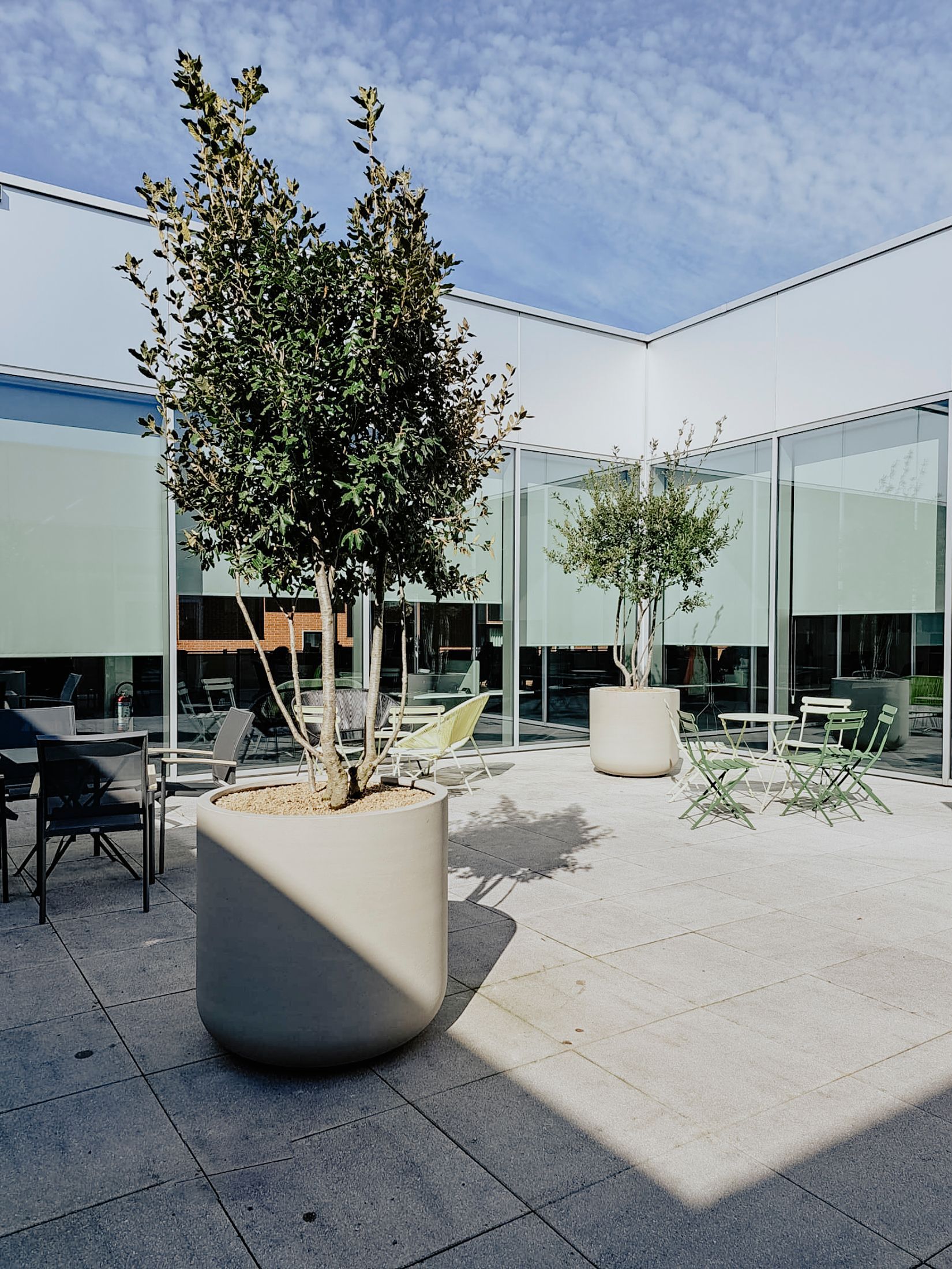 Modern courtyard with potted trees, outdoor tables, glass walls, and bright sunlight