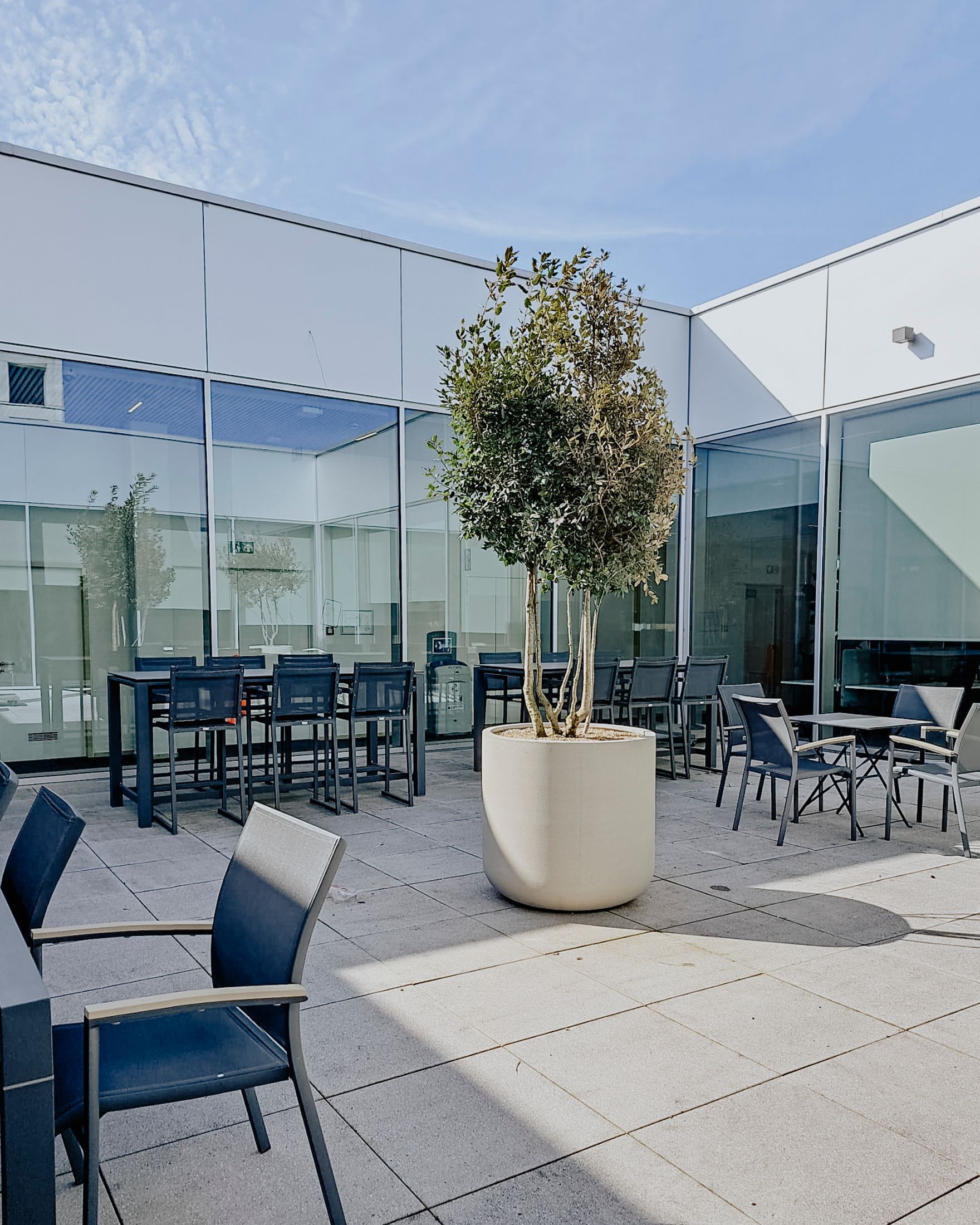 Outdoor patio with glass walls, blue chairs, and a potted tree in a modern courtyard