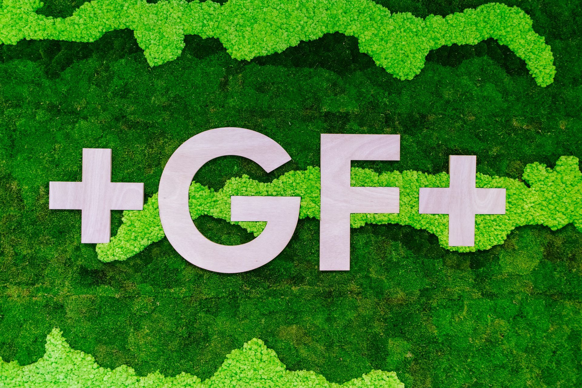 Texte blanc « +GF+ » sur un fond vert clair feuillu.