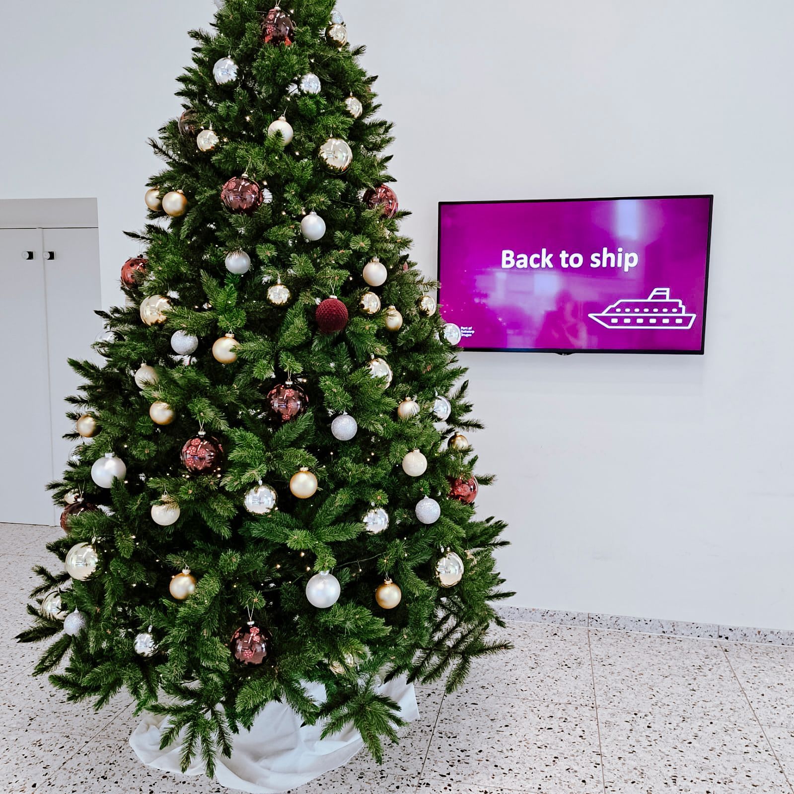 Decorated Christmas tree beside a wall monitor displaying “Back to ship” in a bright room