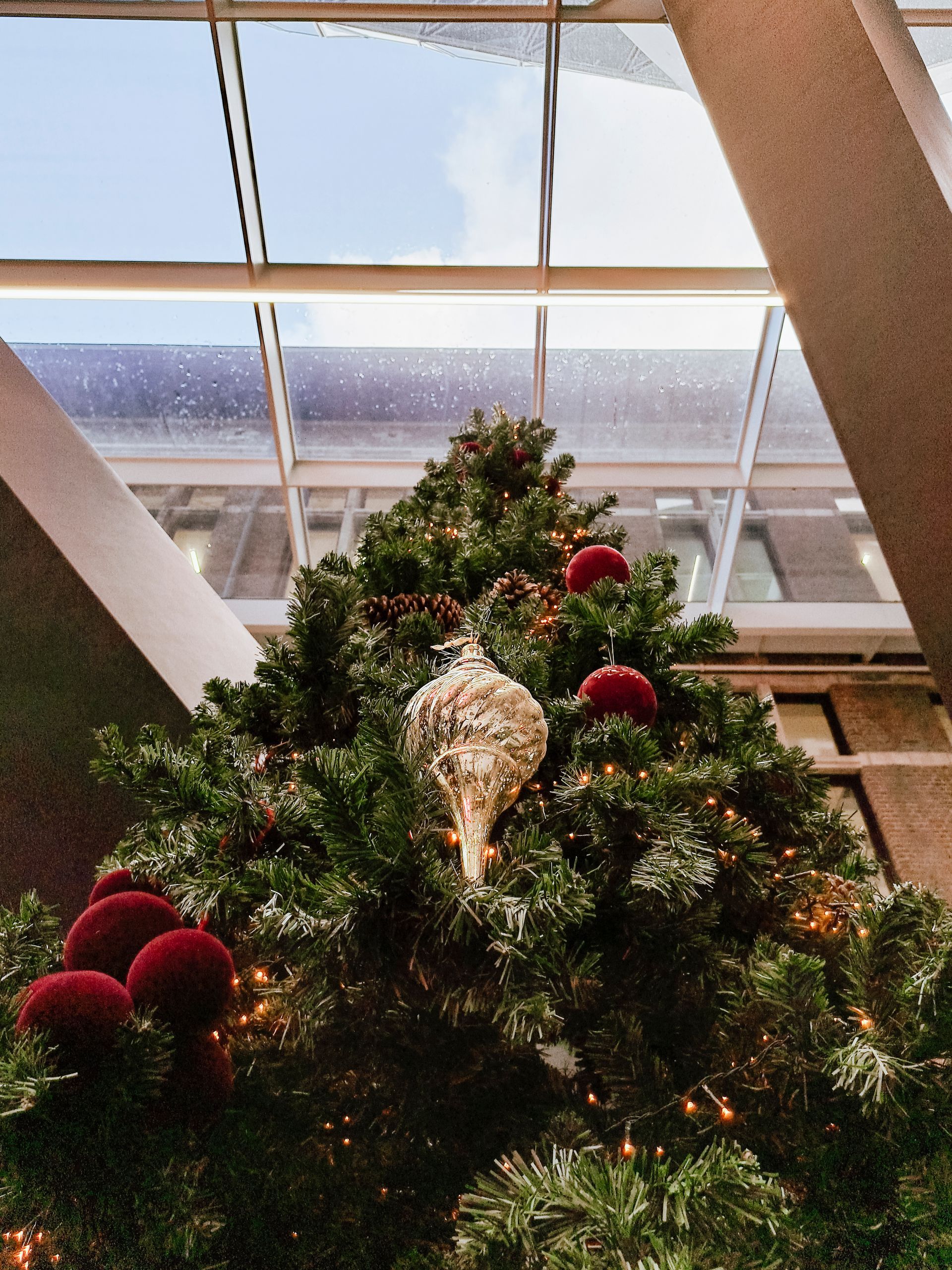 Decorated Christmas tree under a large skylight with ocean view beyond the windows