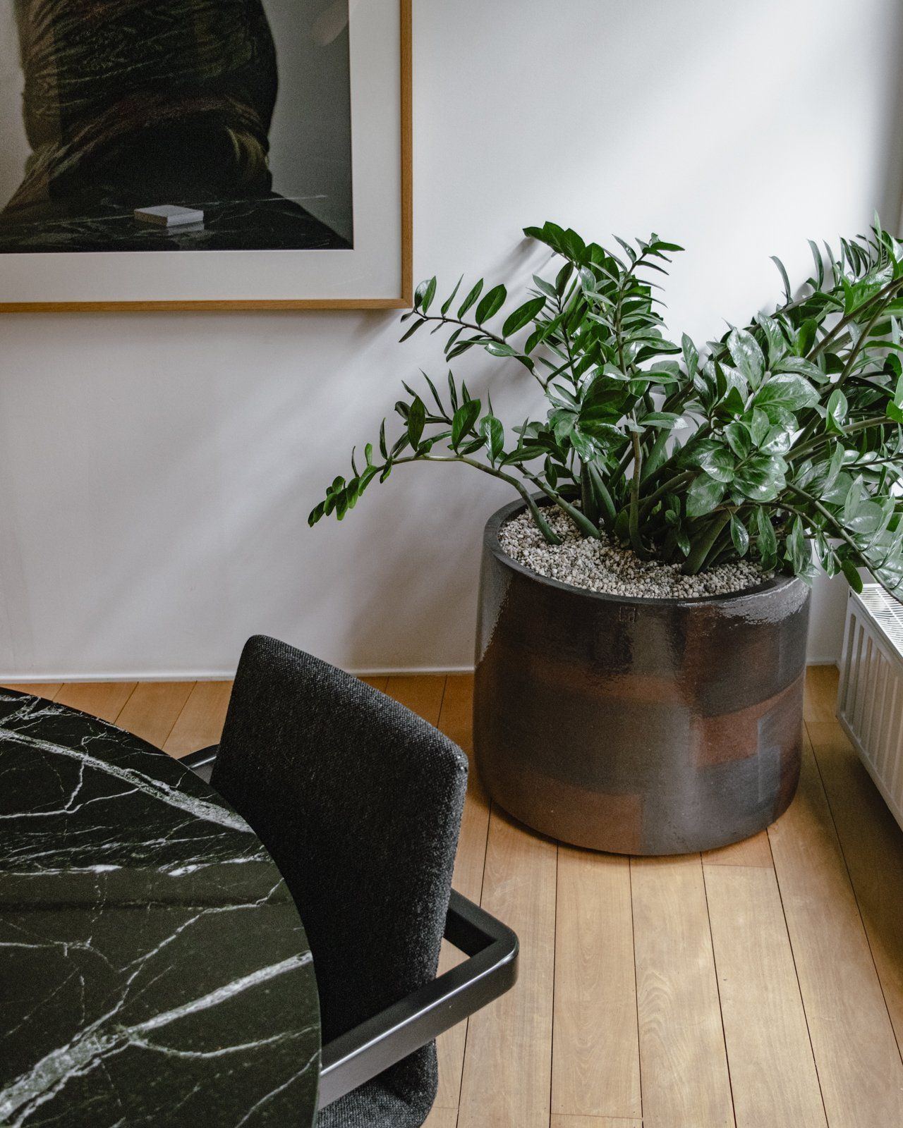 Modern dining room corner with a potted green plant beside a marble table and chair on light wood flooring
