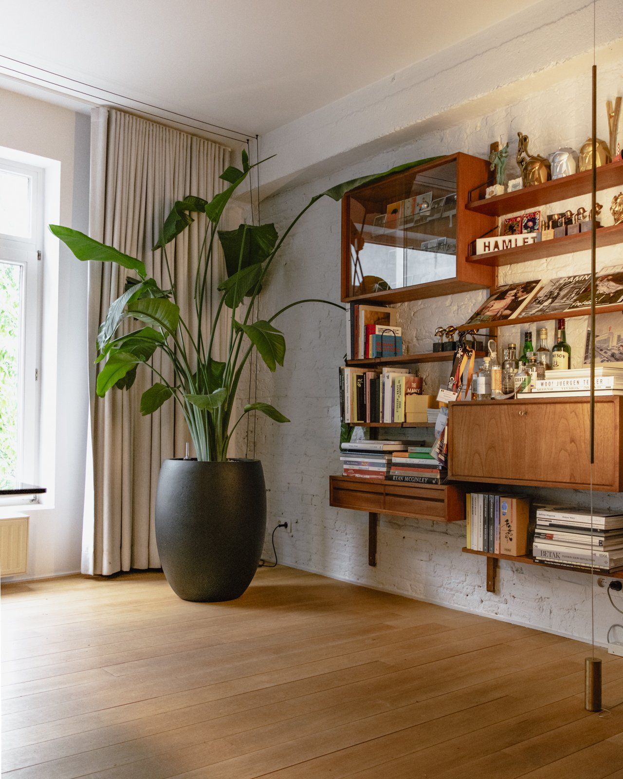 Bright living room with a tall potted plant, wooden floor, and a wall-mounted wooden bar cabinet