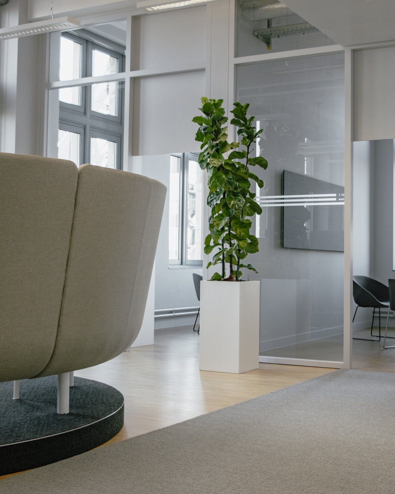Modern office interior with a potted plant, glass walls, and a large chair in the foreground