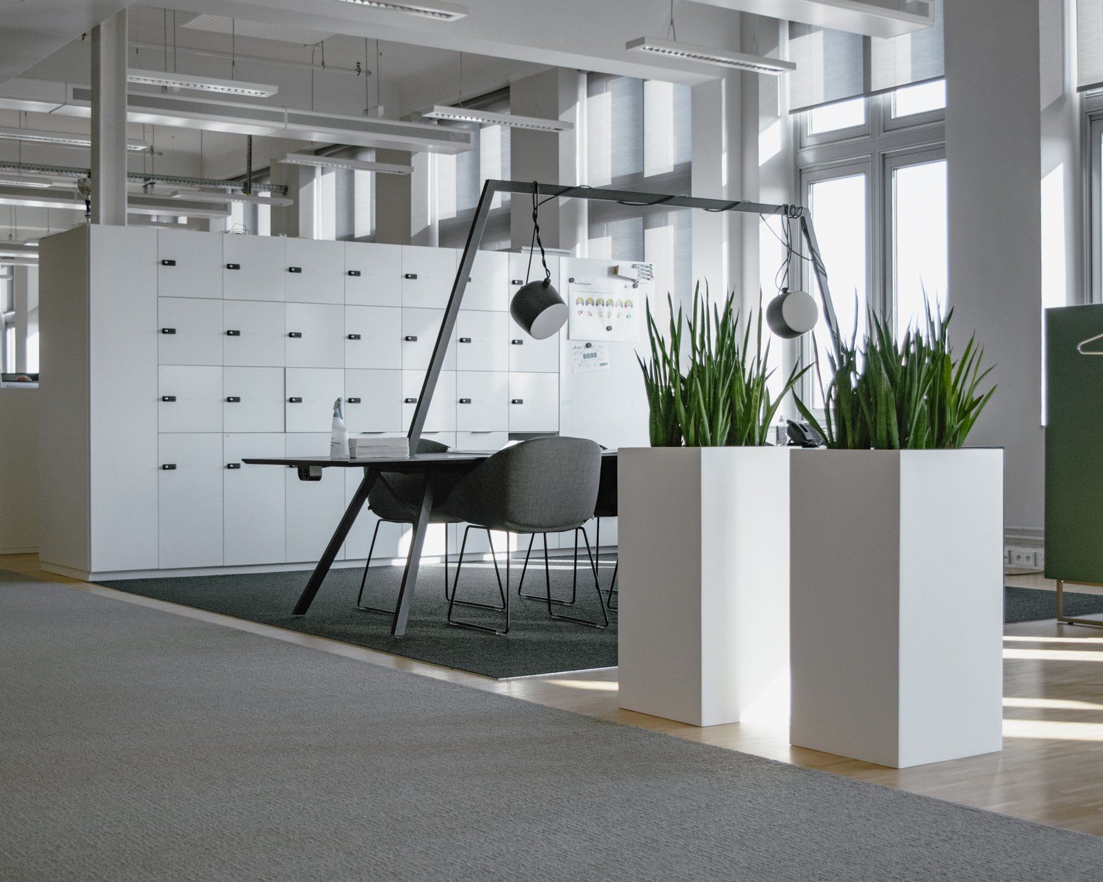 Modern office lounge with white storage cabinets, black chairs, hanging lights, and large white planters with greenery
