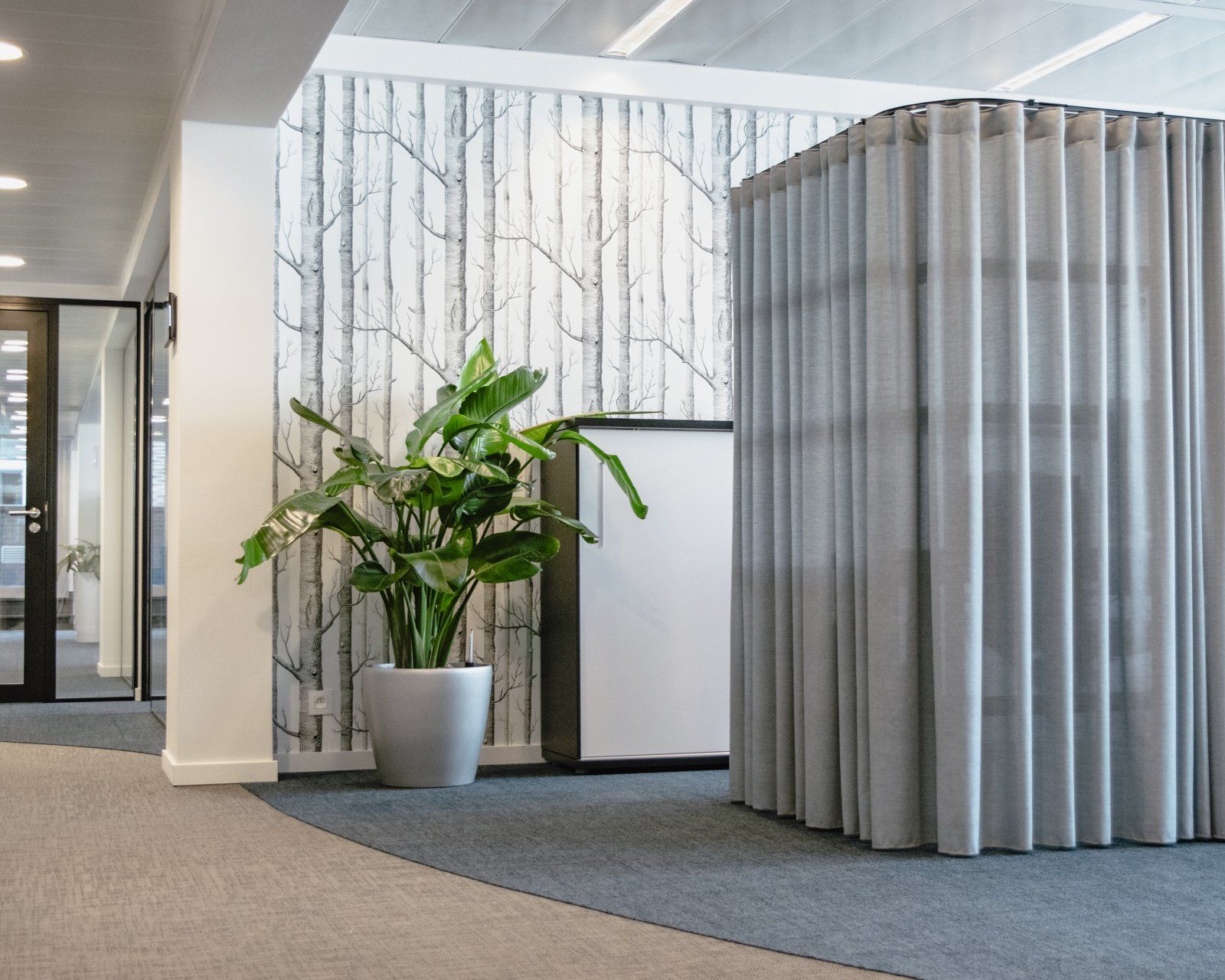 Modern office lobby with marble wall, potted plant, gray carpet, and curved partition screens