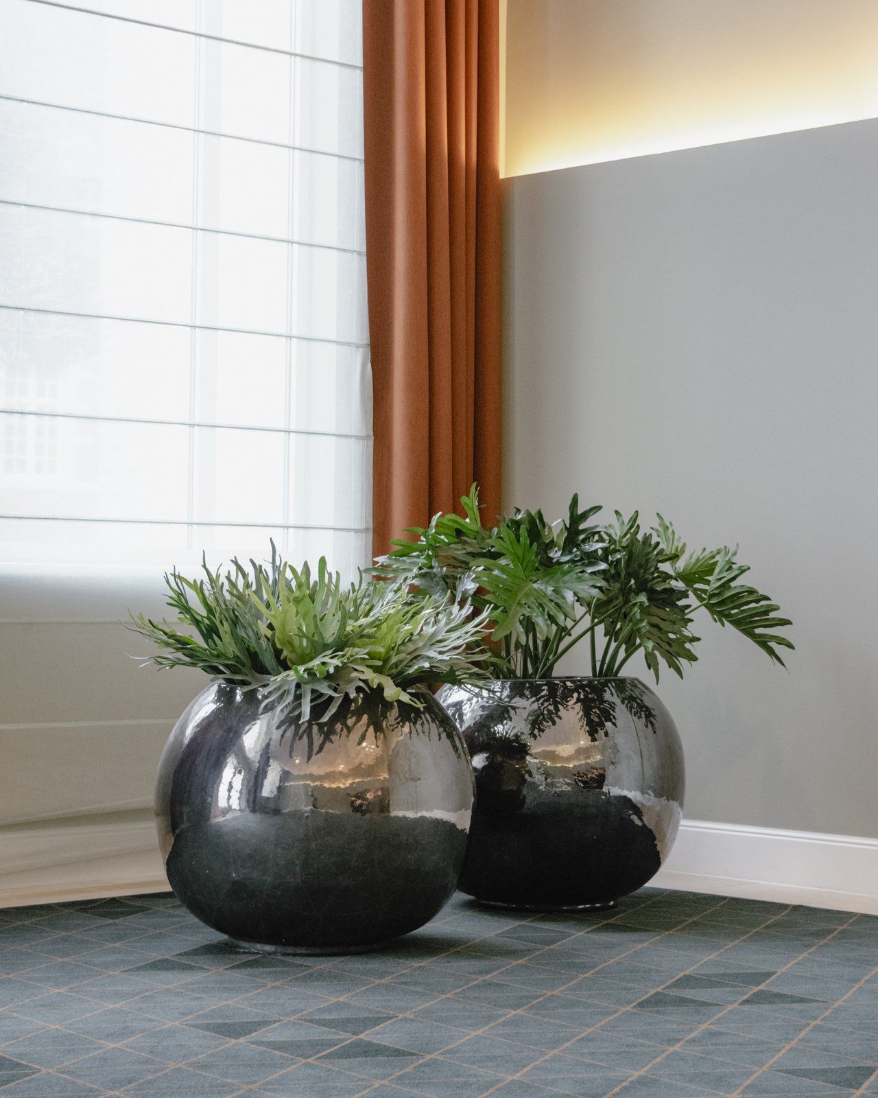 Deux jardinières noires contenant des plantes vertes près d'une fenêtre et d'un rideau couleur rouille dans une pièce moderne