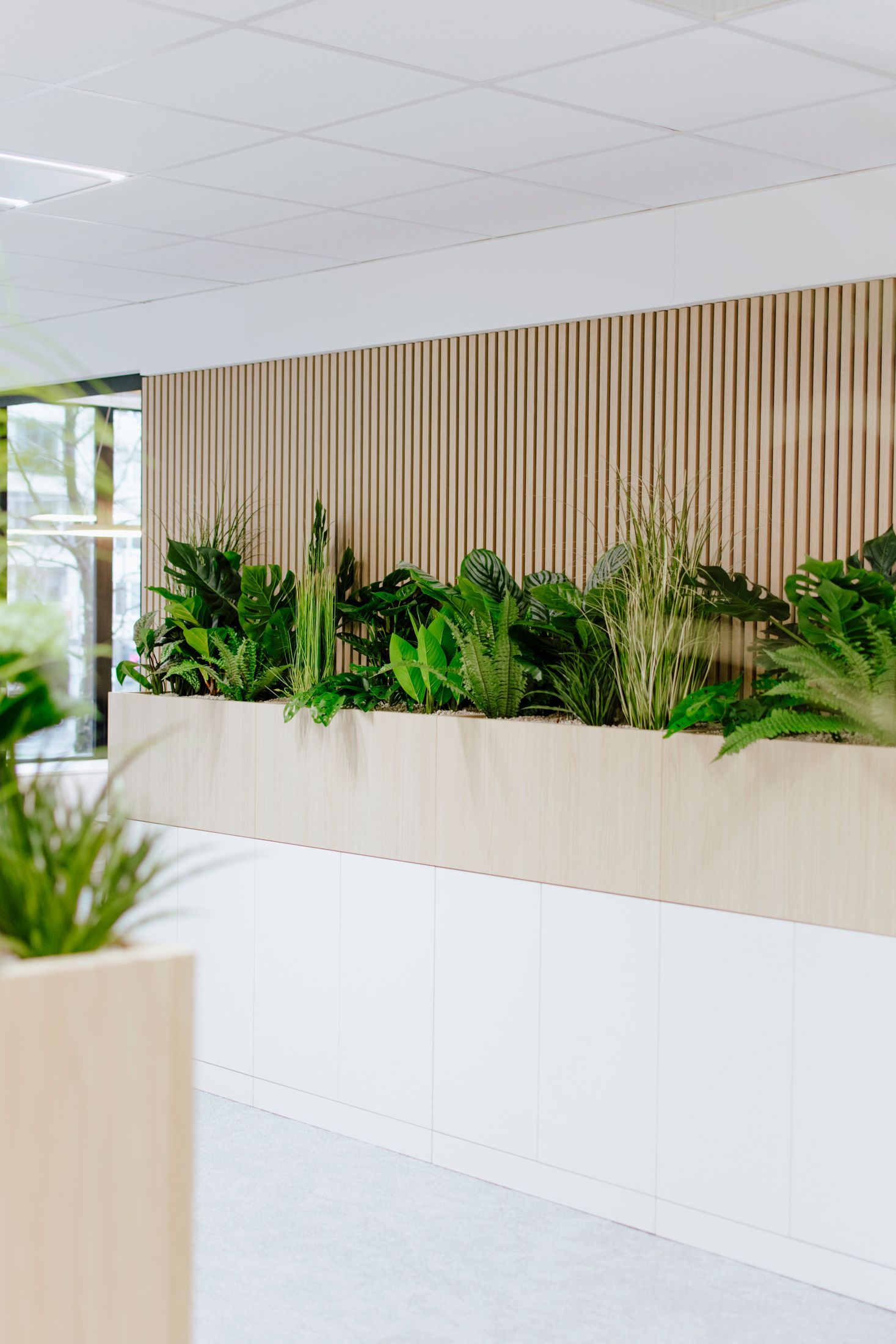 Couloir de bureau moderne avec une longue jardinière de plantes vertes et des lattes de bois verticales au mur