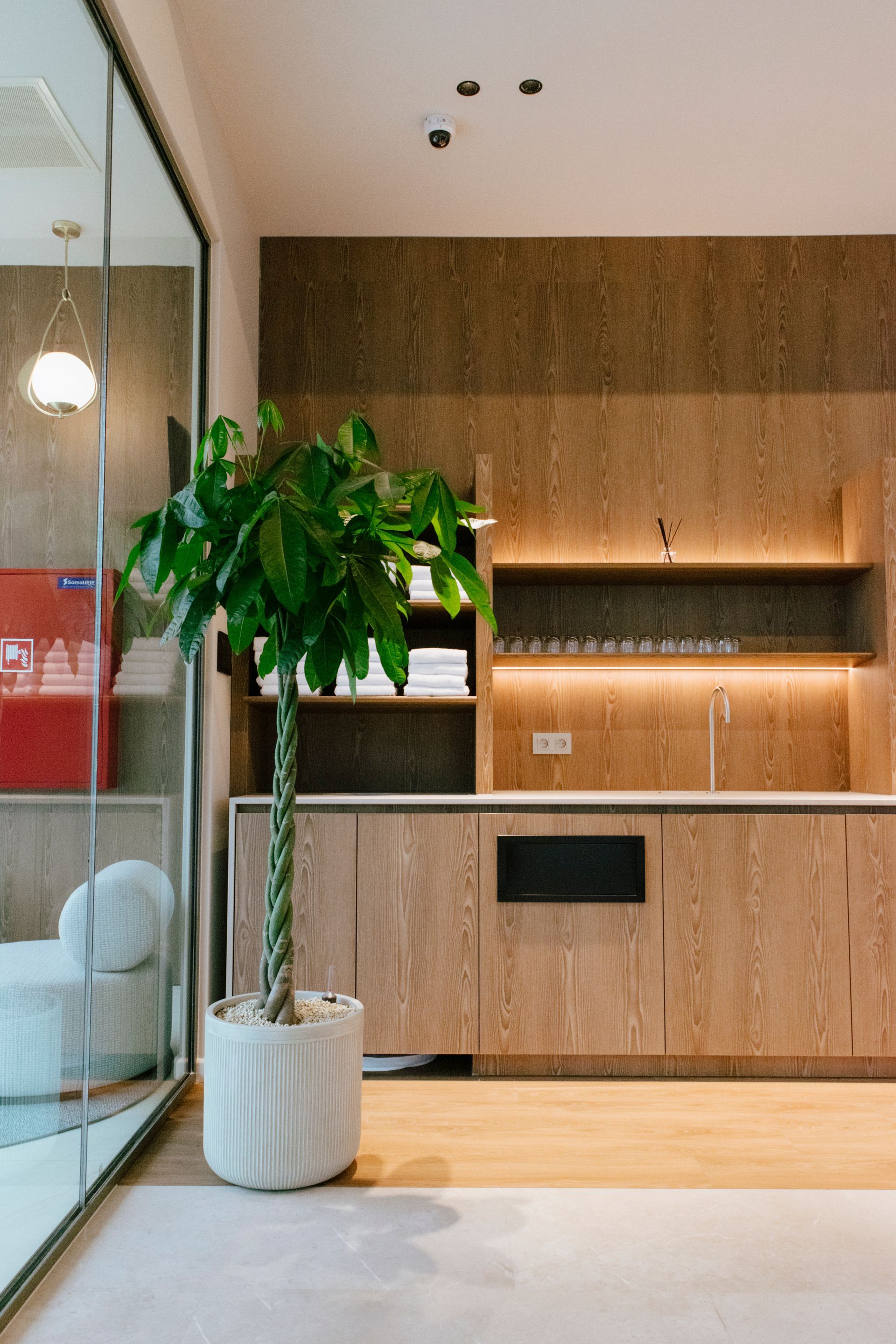 Modern lobby with a potted tree, wood reception desk, and mirrored wall panels