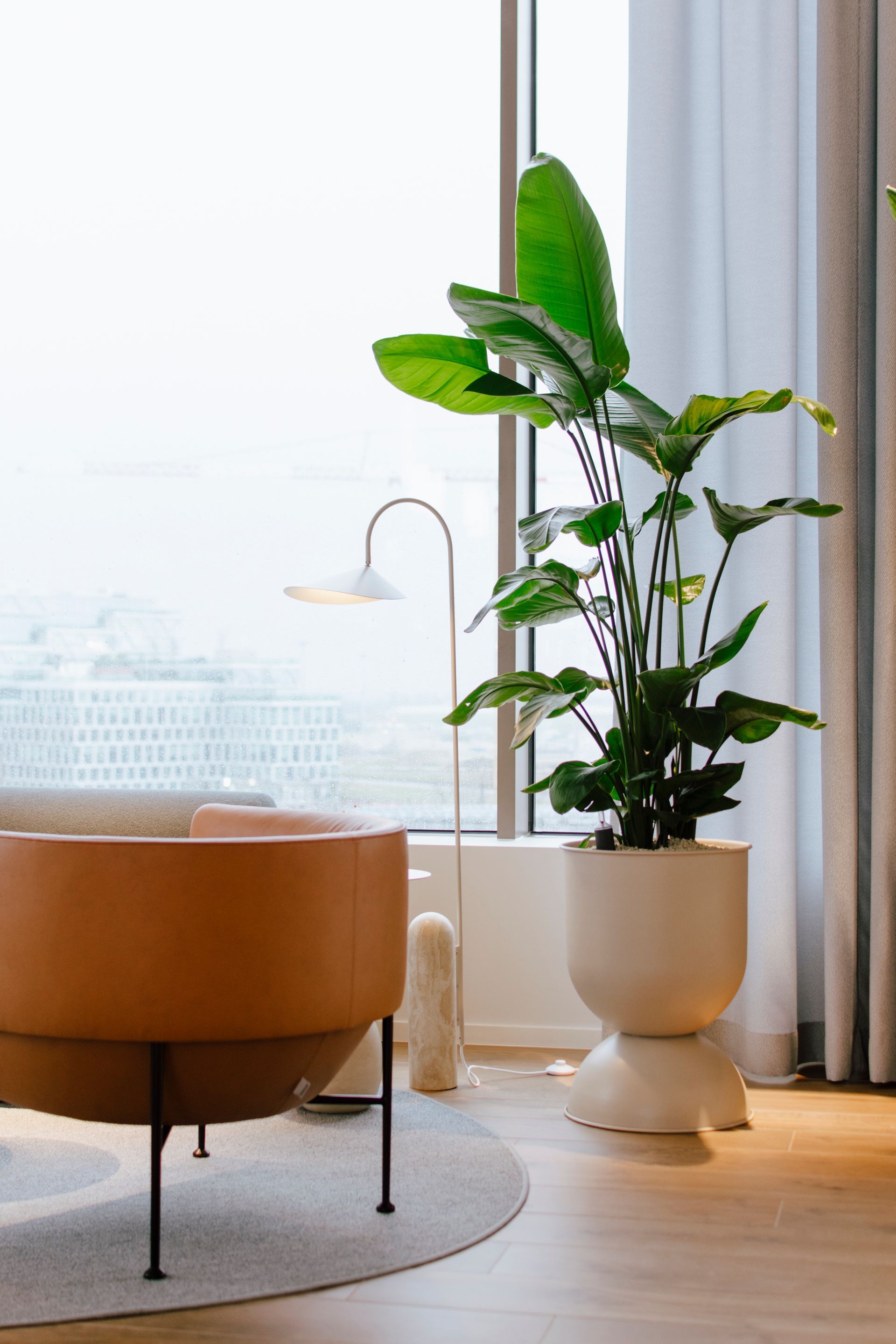Salon moderne avec un fauteuil beige, un lampadaire blanc et une grande plante en pot près de la fenêtre