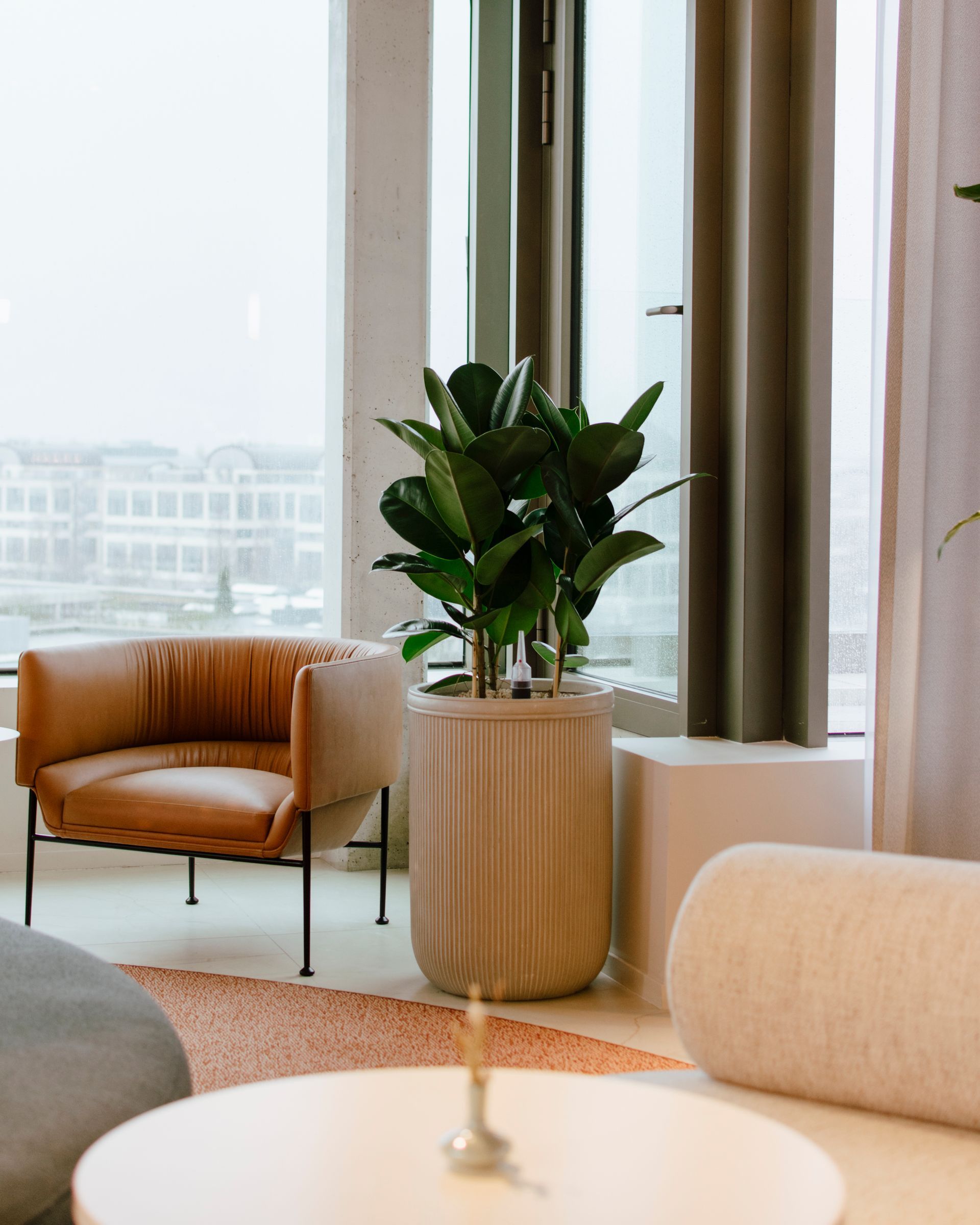 Salon moderne avec fauteuil en cuir beige, plante en pot et grandes fenêtres avec voilages.