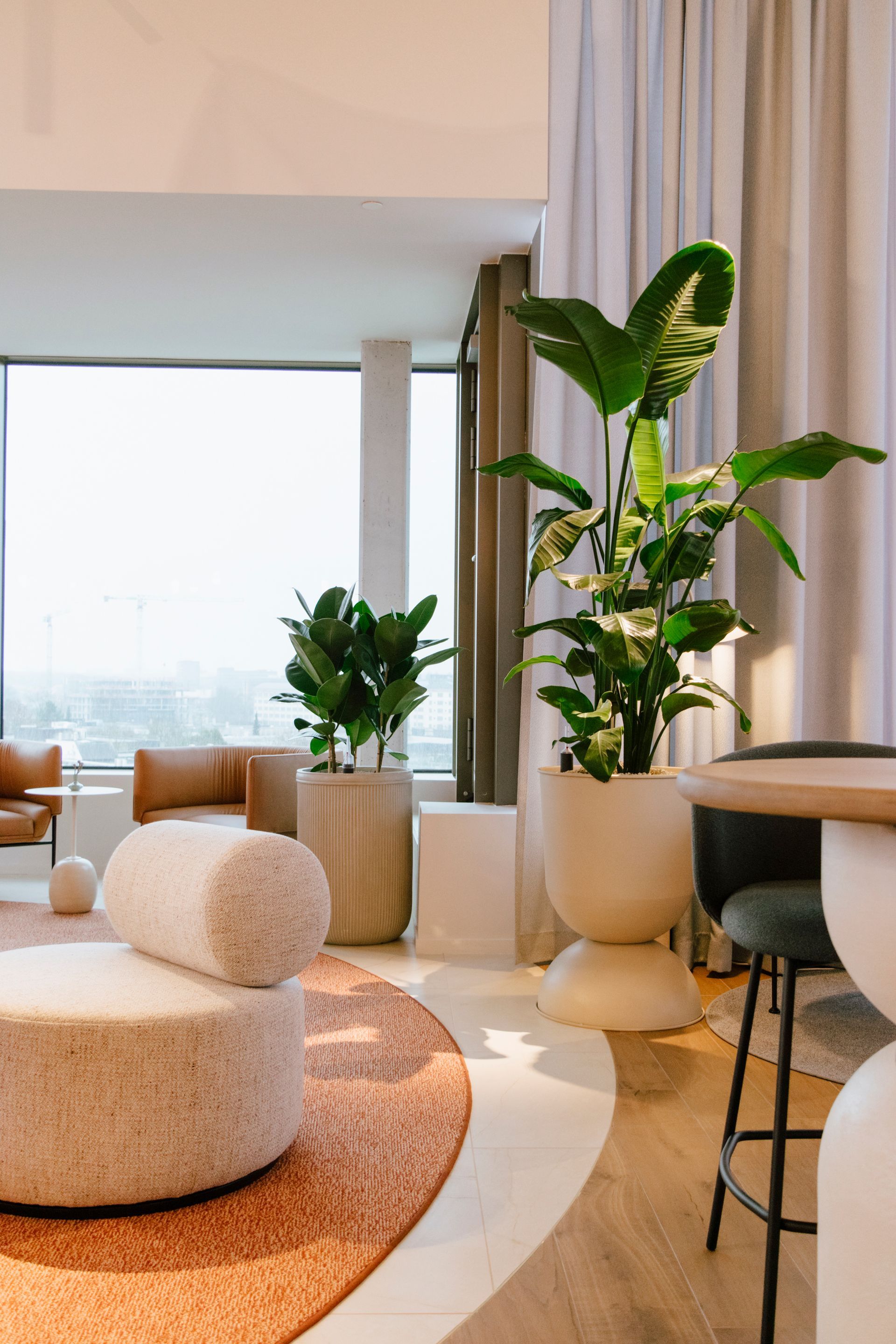 Salon moderne avec fauteuils beiges, grandes plantes en pot et tapis rond tissé près de la fenêtre