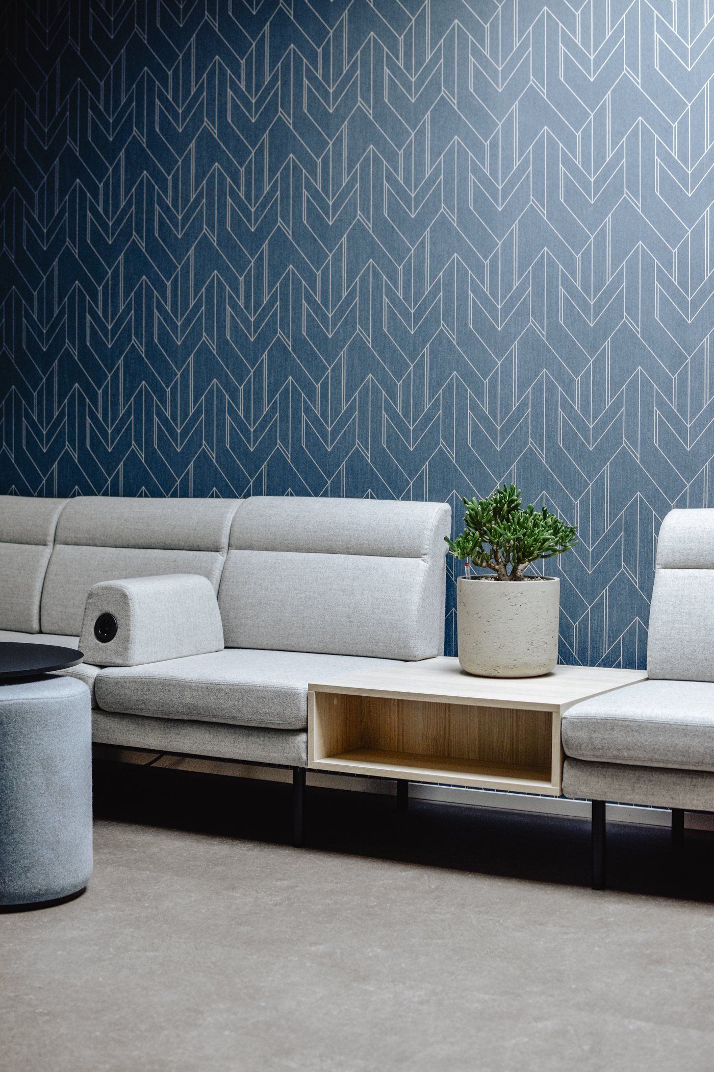 Modern lounge with a gray sectional sofa, blue patterned wall, and wooden coffee table with a plant and pillow