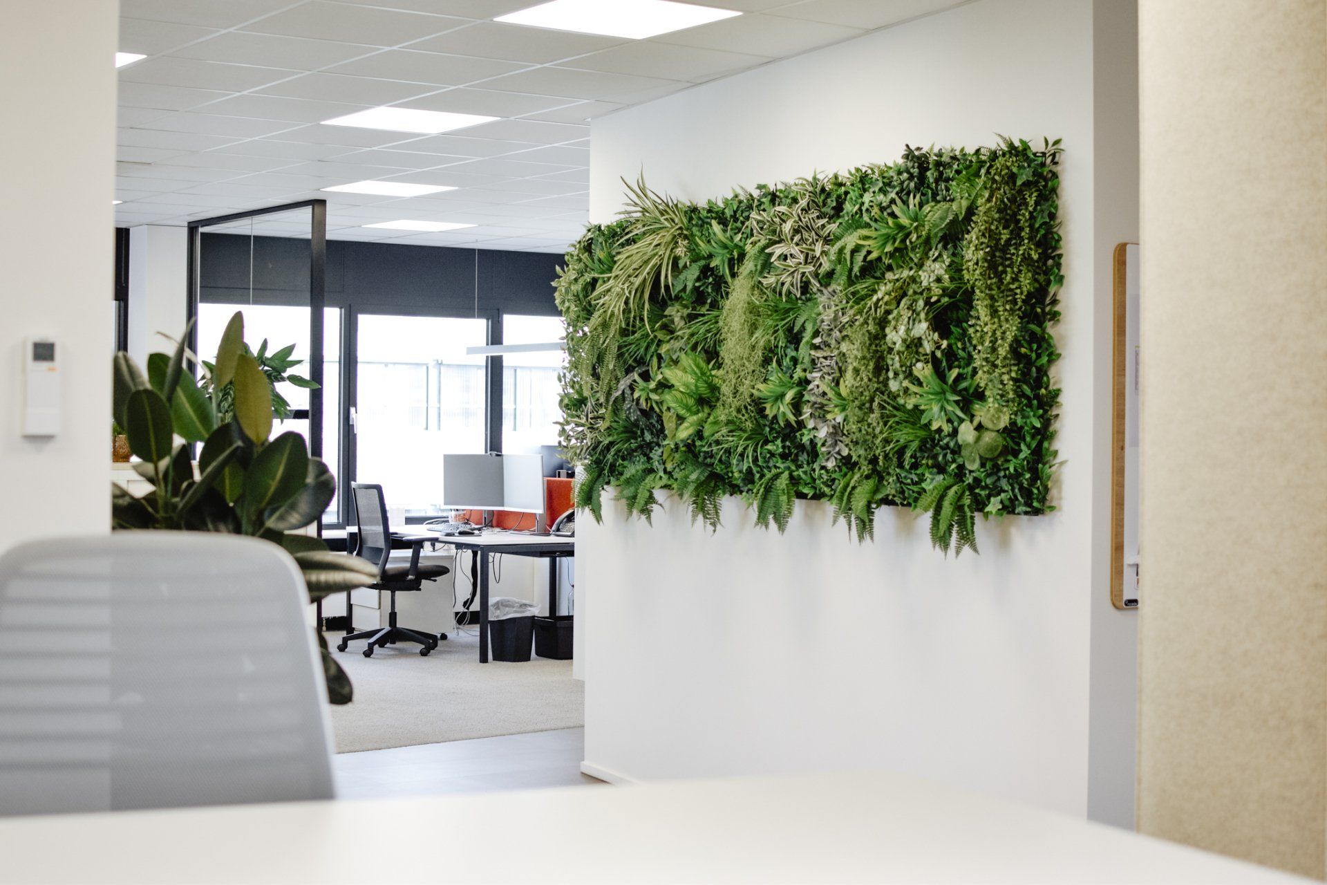 Intérieur de bureau moderne avec bureaux blancs, cloisons vitrées et mur végétal.