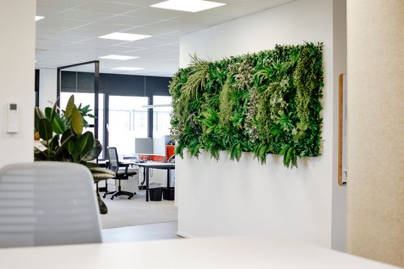 Een modern kantoorinterieur met een grote, levendige groene plantenwand op een witte scheidingswand, met een wazige werkruimte ernaast.