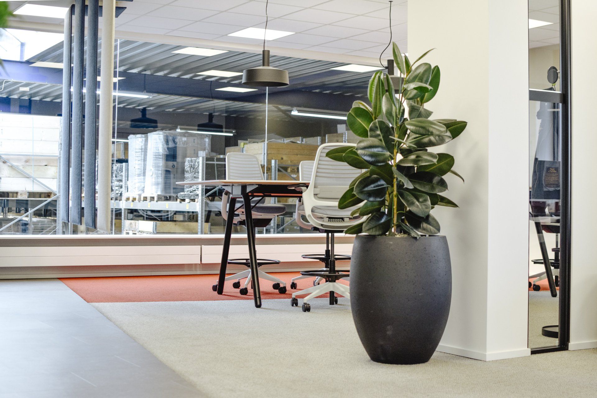 Modern office interior with desks, glass walls, and a large potted plant in the foreground