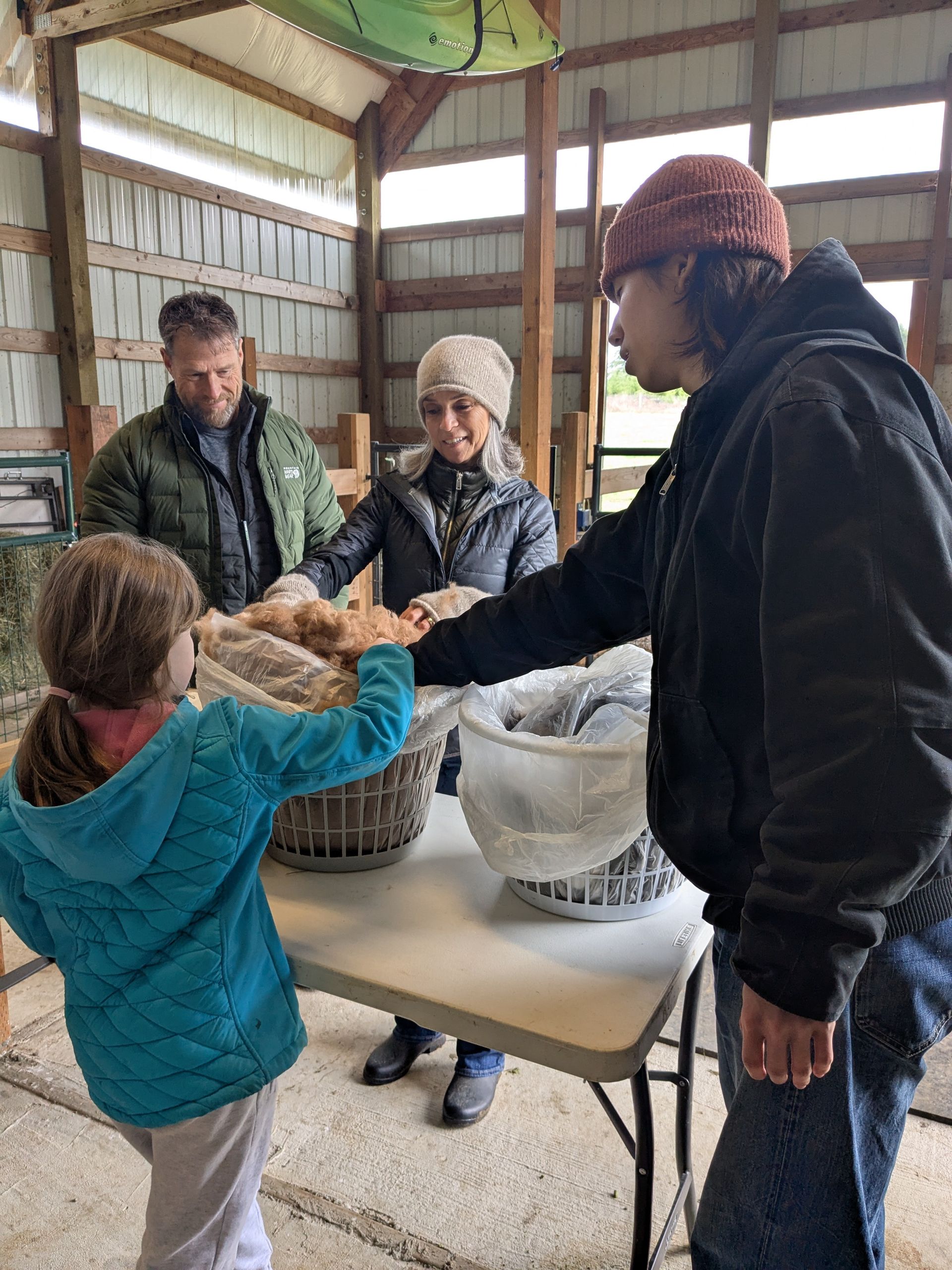 Family gathering, barn setting; people sorting potatoes, child excited.