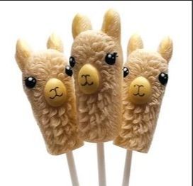 Alpaca Watching Lollipop