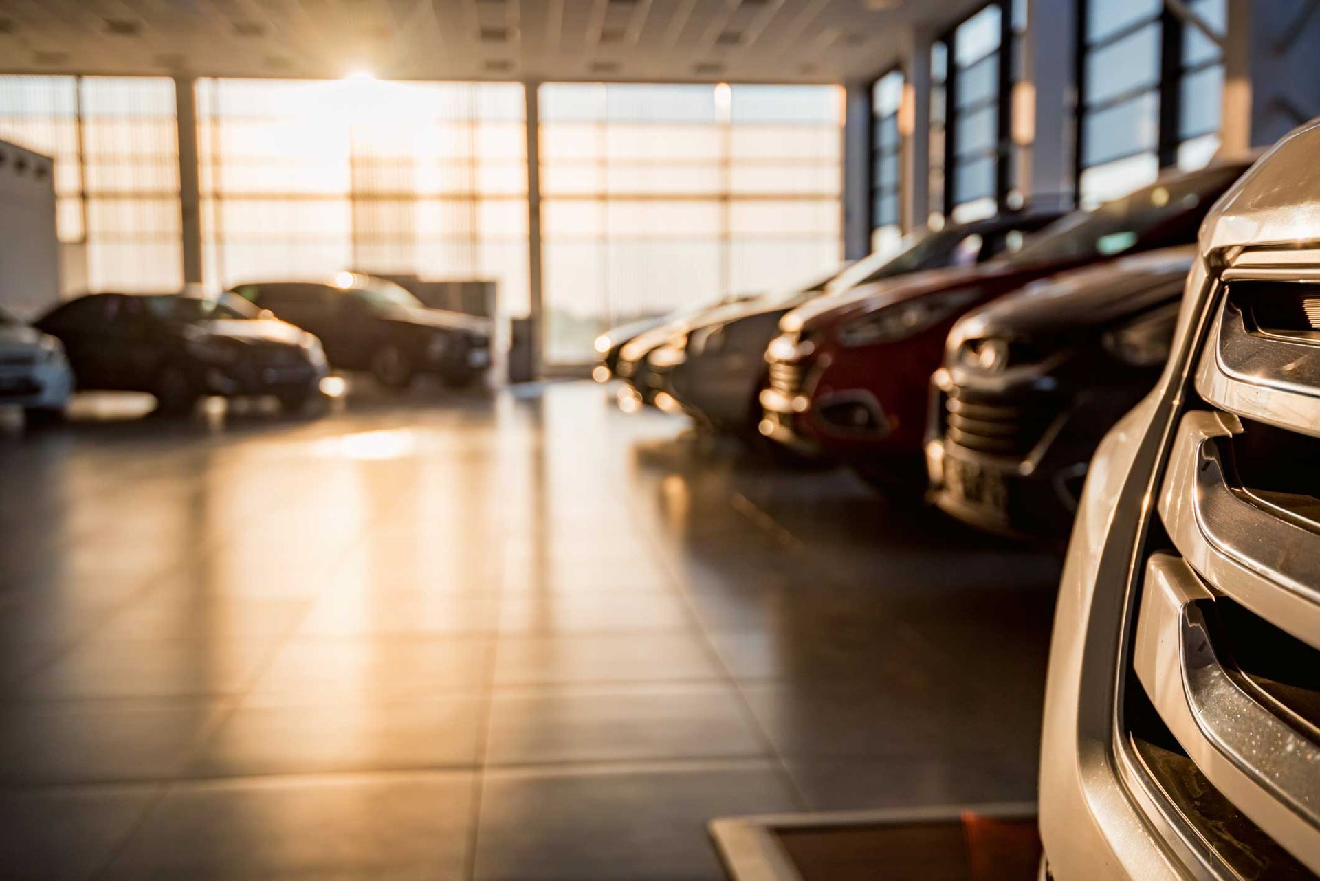 Car dealership showroom with cars parked indoors in warm sunlight