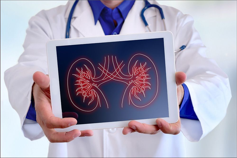 Médico segurando um tablet com uma ilustração luminosa dos rins na tela.