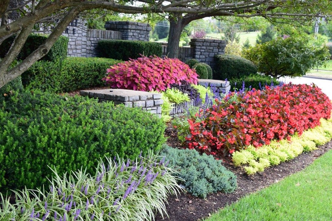 HW HOA entrance landscape remodel new bushes flowers trees irrigation system