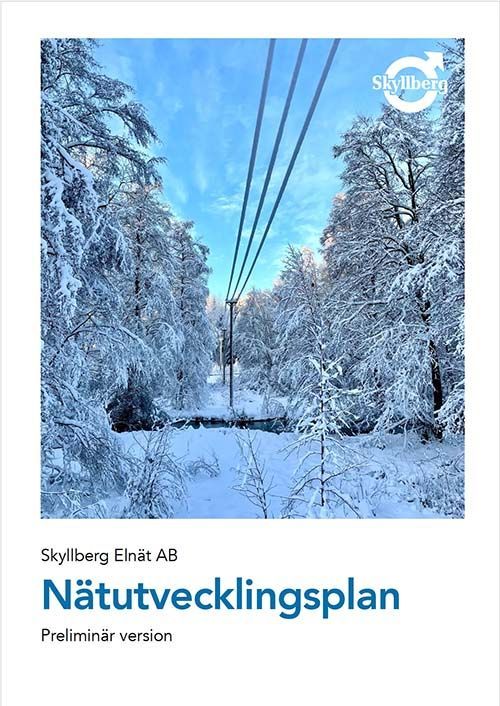 Nätutvecklingsplan