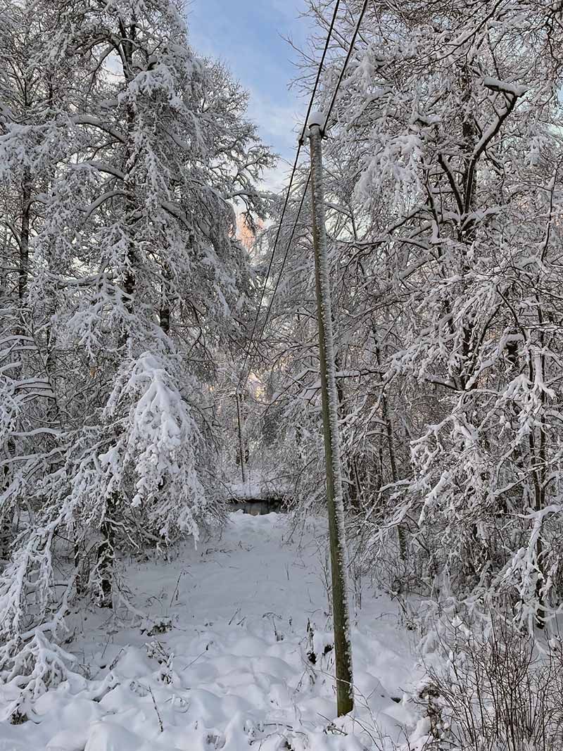 Elmätare
