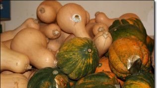 A bunch of pumpkins are sitting on top of each other on a table.