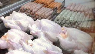 A display case filled with chickens and sausages in a butcher shop.