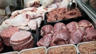 A variety of meats are displayed in a butcher shop.