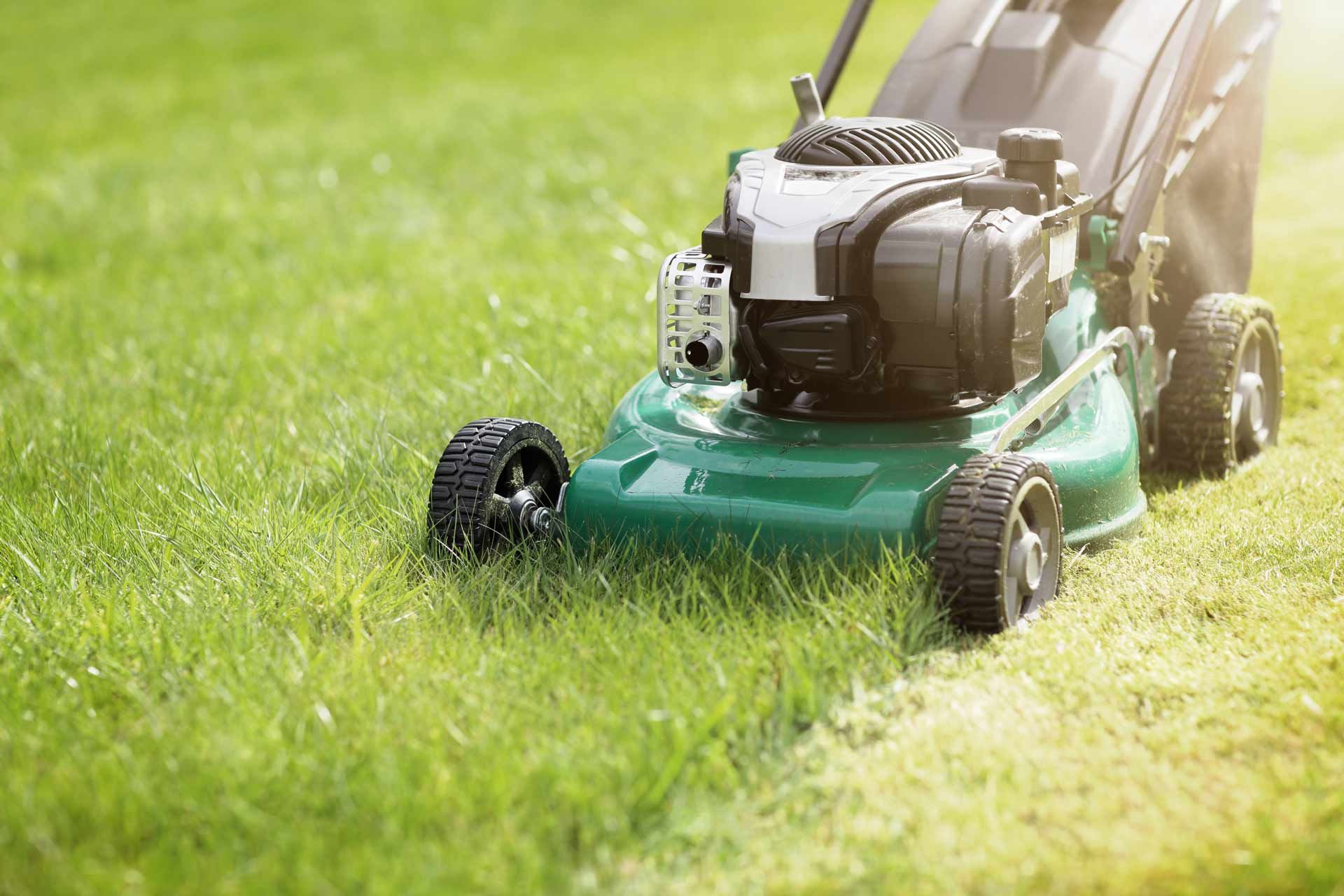 Green lawnmower cutting a section of green grass on a sunny day.