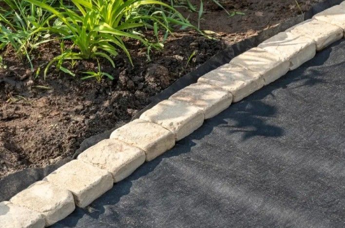 Garden bed with stone border, dark fabric, and plants growing in the soil. Garden bed with stone border, dark fabric, and plants growing in the soil.