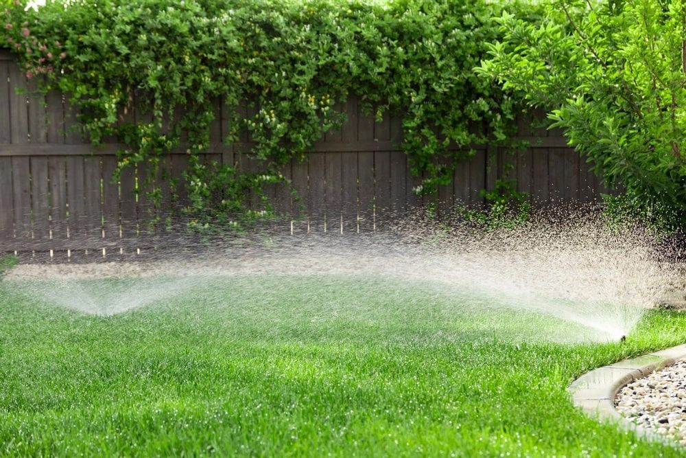 Sprinkler spraying water on green grass lawn with a wooden fence background. Sprinkler spraying water on green grass lawn with a wooden fence background.