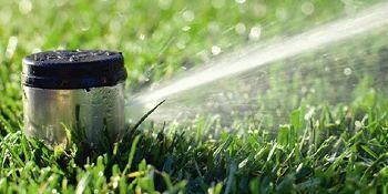 Sprinkler spraying water onto green grass.