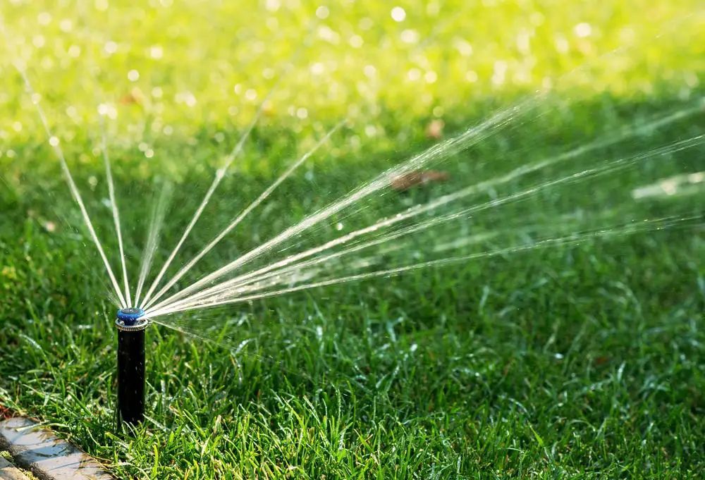 Sprinkler watering green grass on a sunny day. Sprinkler watering green grass on a sunny day.