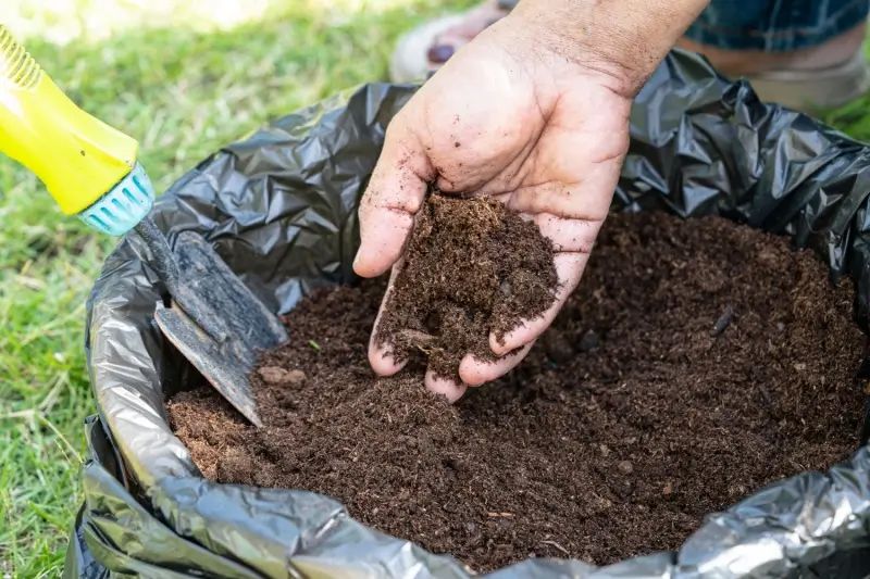 Hand holding and inspecting soil in a black bag, with a yellow spray bottle and shovel nearby on green grass. Hand holding and inspecting soil in a black bag, with a yellow spray bottle and shovel nearby on green grass.