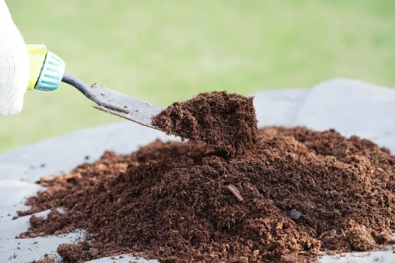 Person using a trowel to scoop up a pile of dark brown compost outdoors. Person using a trowel to scoop up a pile of dark brown compost outdoors.