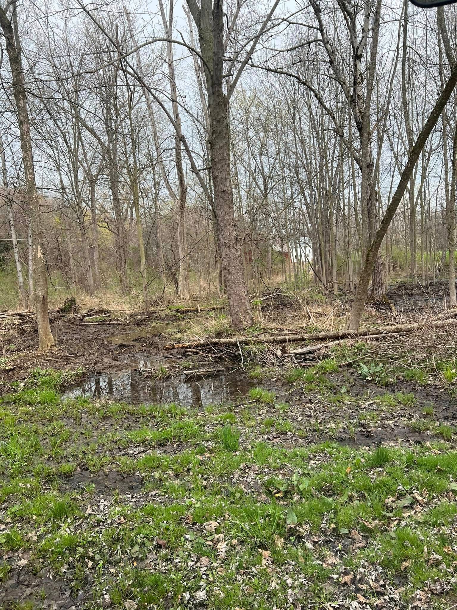 Wooded area with muddy ground, small body of water, and bare trees.