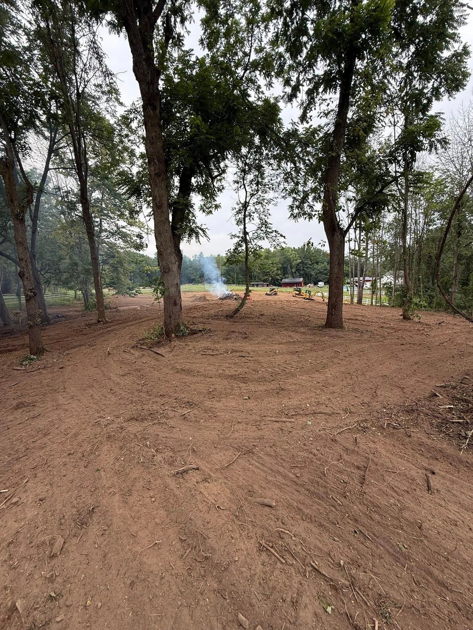 Dirt area with trees in the foreground, smoke in the distance; possibly deforestation or a controlled burn.