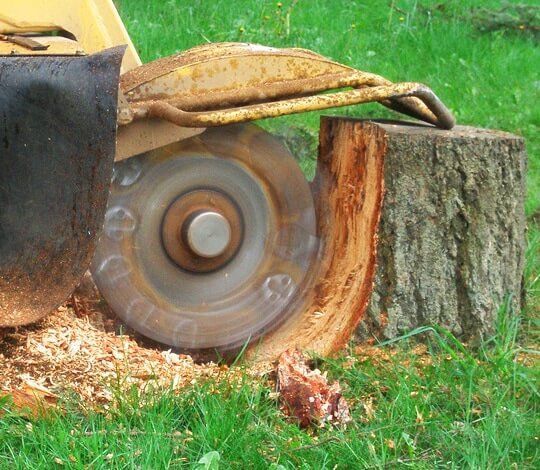 Close-up of a stump grinding machine working to remove a tree stump in Baraboo, WI.
