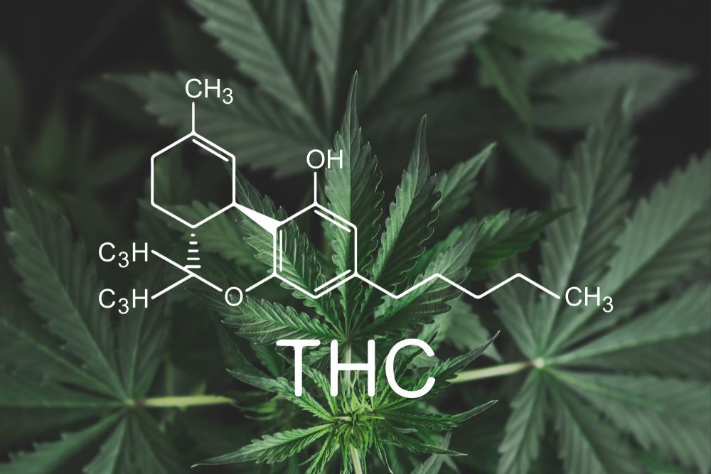 THC chemical structure over cannabis leaves background