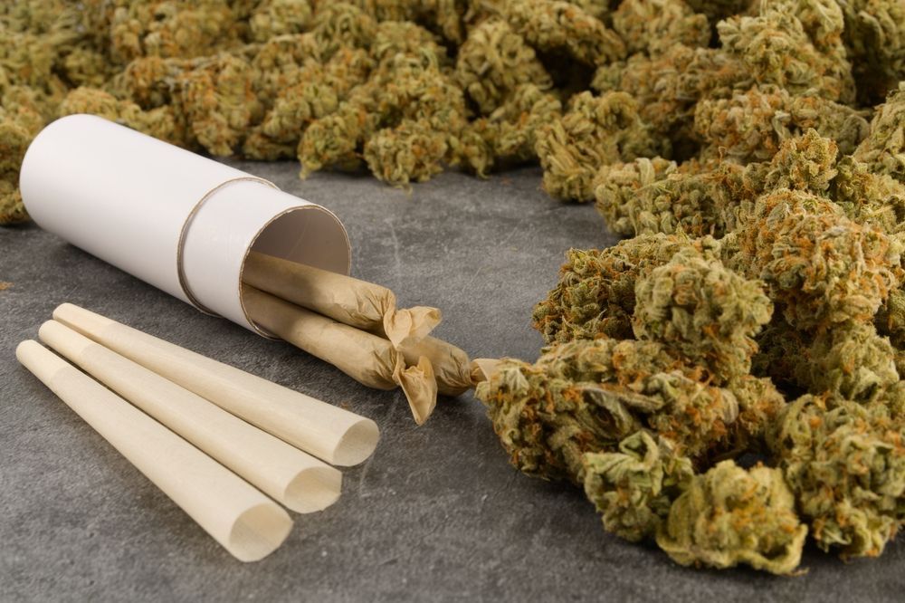 Cannabis buds and rolling papers with a rolled joint on a gray surface