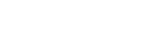 White horizontal bar with a thin dark border centered on a white background.