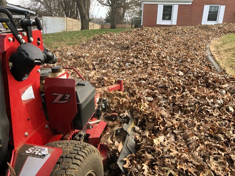 Metal leaf rake on green grass with scattered autumn leaves