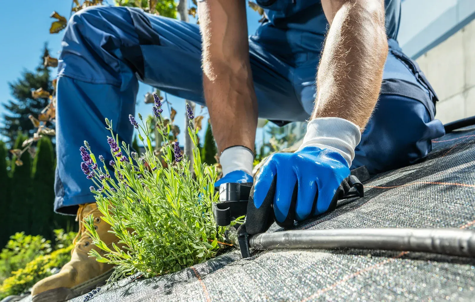 Worker in blue gloves and pants repairing a roof gutter beside green plants
