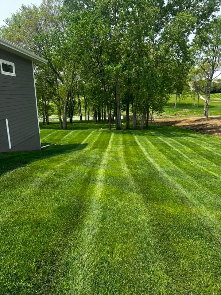 Freshly mowed green lawn with striped grass beside a gray house and trees in the background