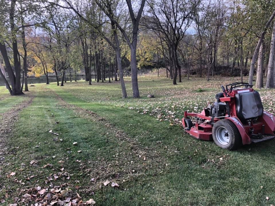 Red lawn mower on grass in a tree-filled park